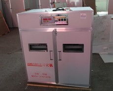 科技赋能孵化 德州宏鑫孵化设备厂引领智能化养殖新纪元